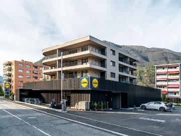 Rent a 3 ½ rooms apartment in Ascona Flatfox