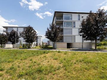 Rent a 3 rooms apartment in Ascona Flatfox
