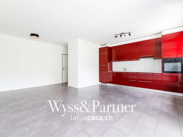 Rent a 3 ½ rooms apartment in Ascona Flatfox