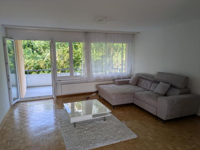 Rent a 3 ½ rooms apartment in Au ZH Flatfox