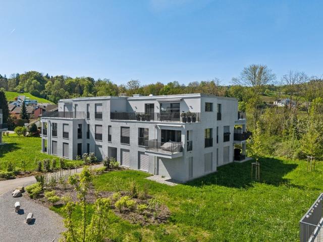 Rent a 3 ½ rooms apartment in Au ZH Flatfox