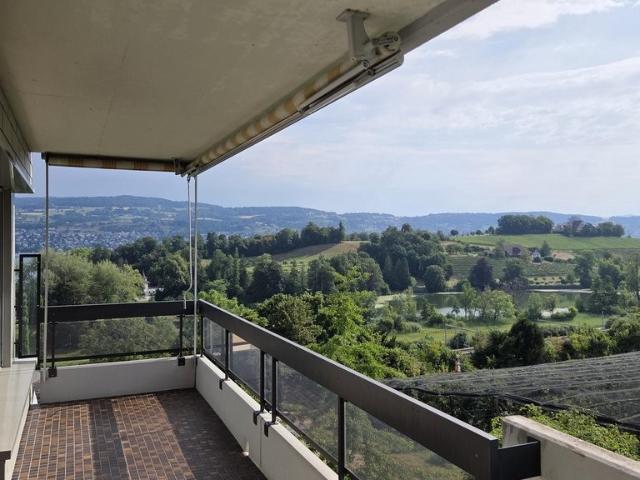 Rent a 3 ½ rooms apartment in Au ZH Flatfox