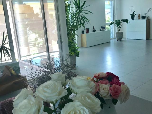 Rent a 3 ½ rooms apartment in Boll Flatfox