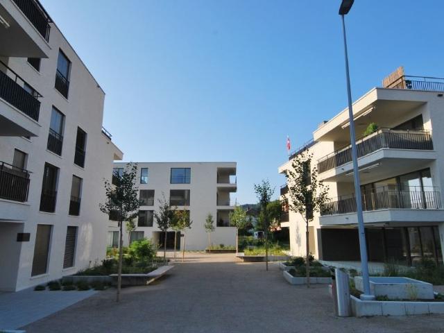 Rent a 3 ½ rooms apartment in Boniswil Flatfox