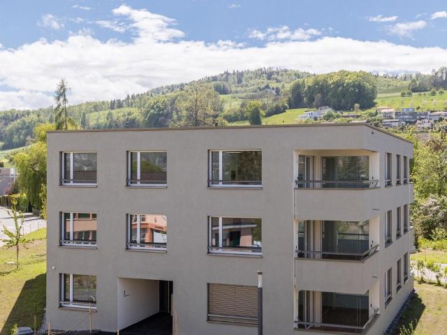 Rent a 3 ½ rooms apartment in Boniswil Flatfox