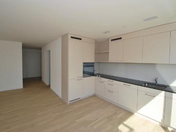 Rent a 3 ½ rooms apartment in Boniswil Flatfox