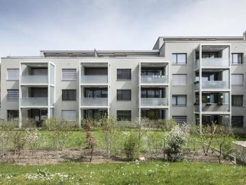Rent a 3 ½ rooms apartment in Baden Flatfox