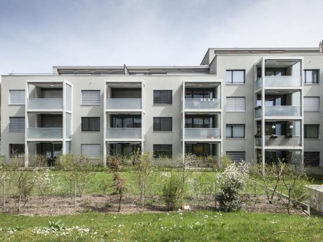 Rent a 3 ½ rooms apartment in Baden Flatfox