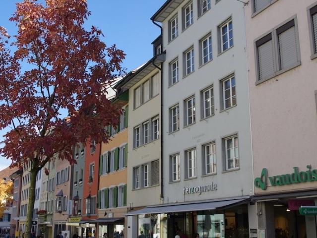 Rent a 3 ½ rooms apartment in Baden Flatfox