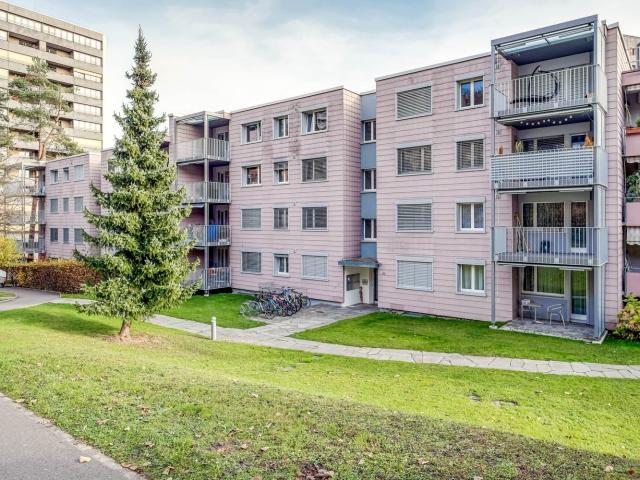 Rent a 3 rooms apartment in Baden Flatfox
