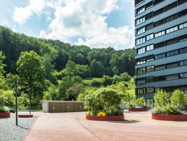Rent a 3 ½ rooms apartment in Baden Flatfox