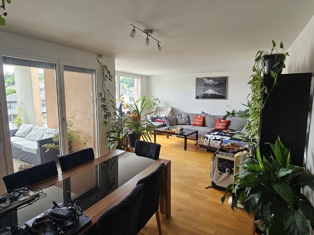 Rent a 3 ½ rooms apartment in Baden Flatfox