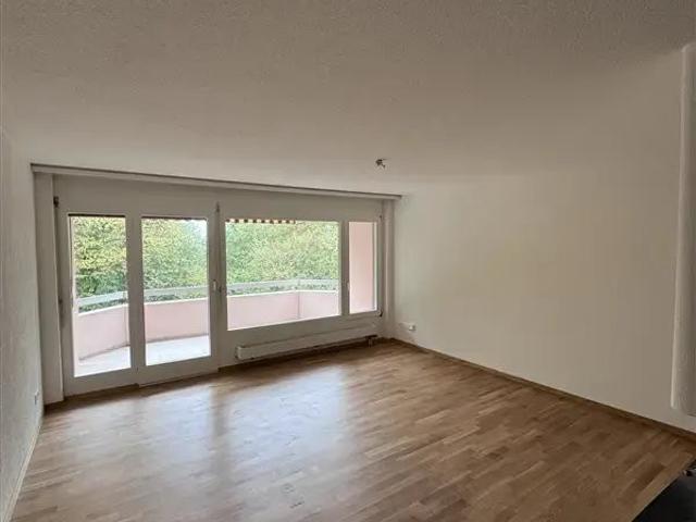 Rent a 3 rooms apartment in Baden Flatfox
