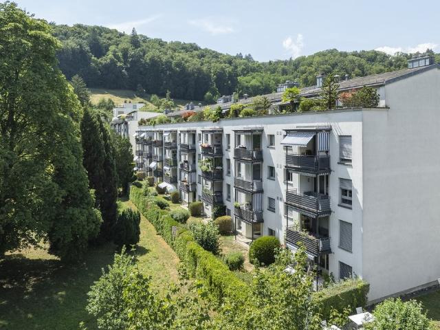 Rent a 3 ½ rooms apartment in Baden Flatfox