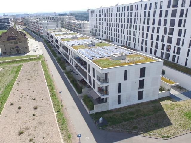 Rent a 3 ½ rooms apartment in Basel Flatfox