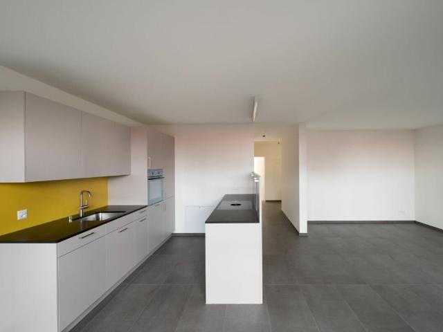 Rent a 3 ½ rooms apartment in Basel Flatfox