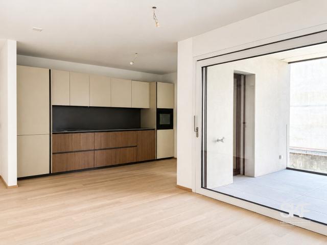 Rent a 3 ½ rooms apartment in Bellinzona Flatfox
