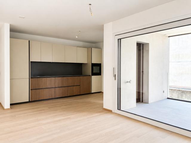 Rent a 3 ½ rooms apartment in Bellinzona Flatfox