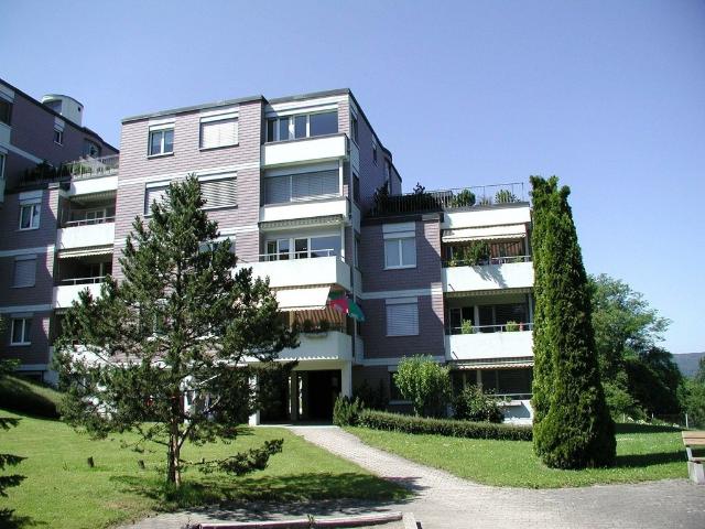 Rent a 3 rooms apartment in Bergdietikon Flatfox