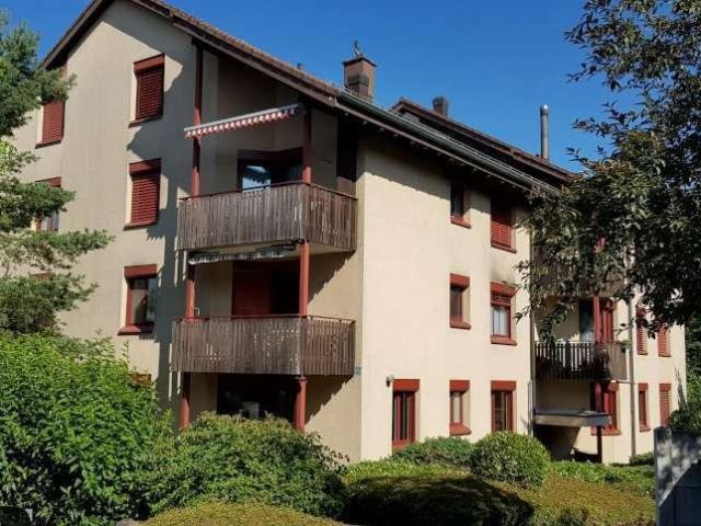Rent a 3 rooms apartment in Berikon Flatfox