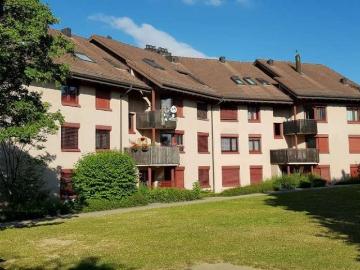 Rent a 3 ½ rooms apartment in Berikon Flatfox
