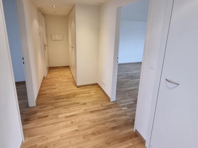Rent a 3 rooms apartment in Berikon Flatfox