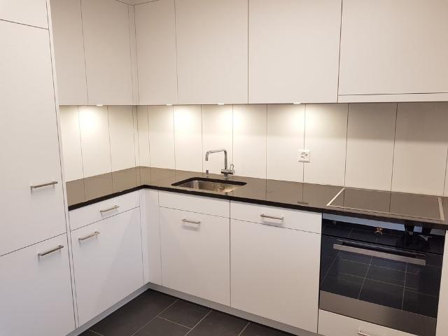 Rent a 3 rooms apartment in Berikon Flatfox