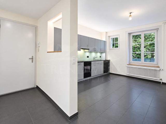 Rent a 3 ½ rooms apartment in Bern Flatfox