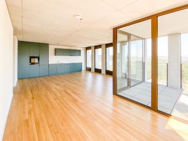 Rent a 3 ½ rooms apartment in Bern Flatfox