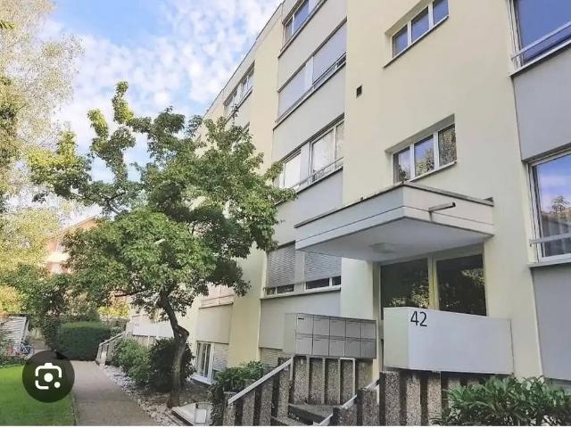 Rent a 3 ½ rooms apartment in Bern Flatfox