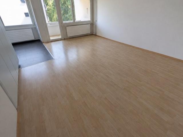 Rent a 3 ½ rooms apartment in Bern Flatfox