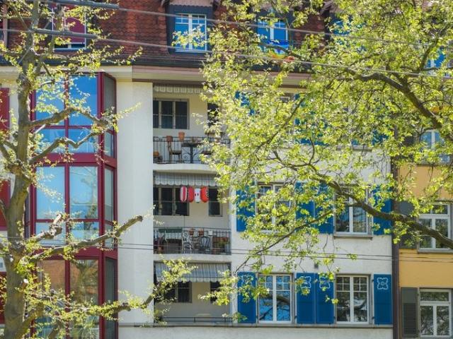 Rent a 3 ½ rooms apartment in Bern Flatfox