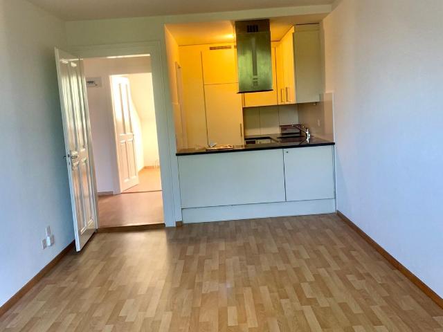 Rent a 3 ½ rooms apartment in Bern Flatfox