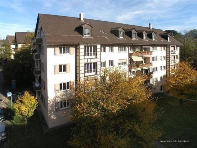 Rent a 3 rooms apartment in Bern Flatfox