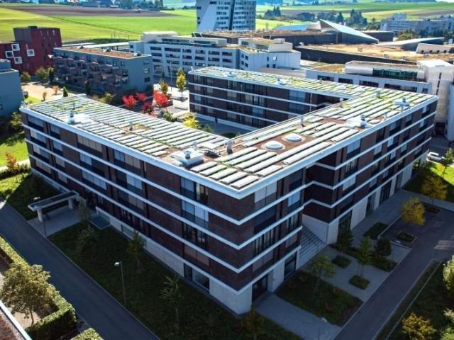 Rent a 3 ½ rooms apartment in Bern Flatfox