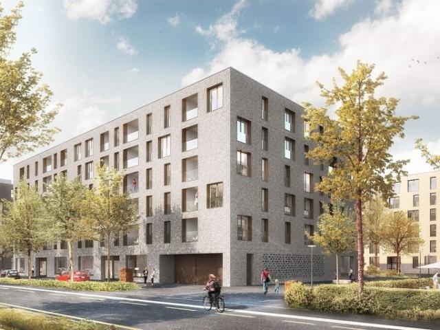 Rent a 3 ½ rooms apartment in Bern Flatfox