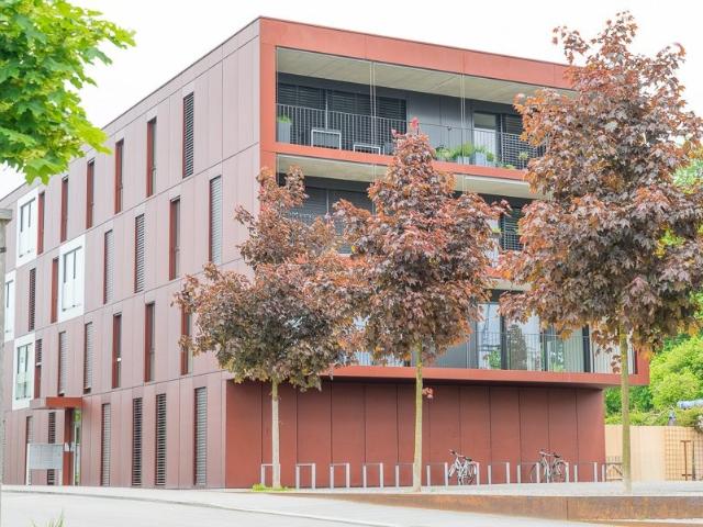 Rent a 3 ½ rooms apartment in Bern Flatfox