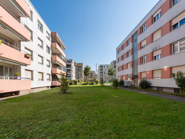 Rent a 3 rooms apartment in Biel Flatfox