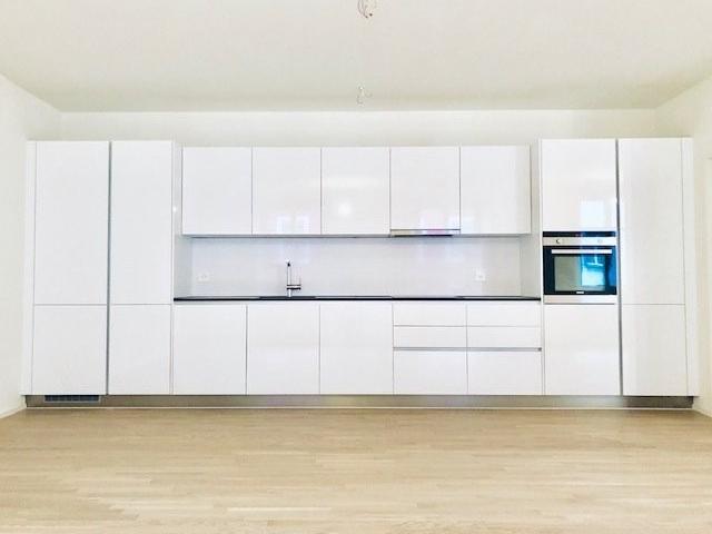 Rent a 3 ½ rooms apartment in Biel Flatfox