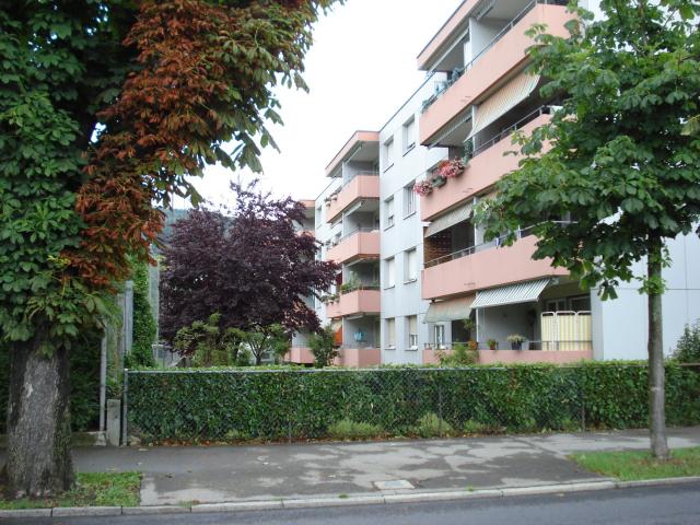 Rent a 3 ½ rooms apartment in Biel/Bienne Flatfox