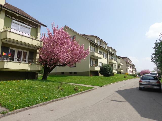 Rent a 3 rooms apartment in Biel/Bienne Flatfox