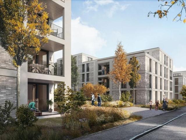 Rent a 3 ½ rooms apartment in Binningen Flatfox
