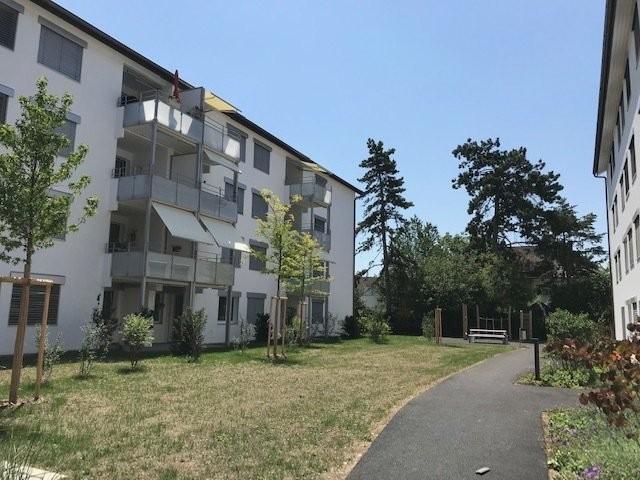 Rent a 3 ½ rooms apartment in Birsfelden Flatfox