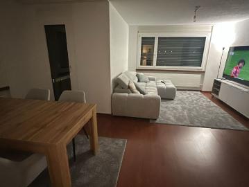Rent a 3 ½ rooms apartment in Birr