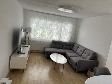 Rent a 3 ½ rooms apartment in Birr Flatfox