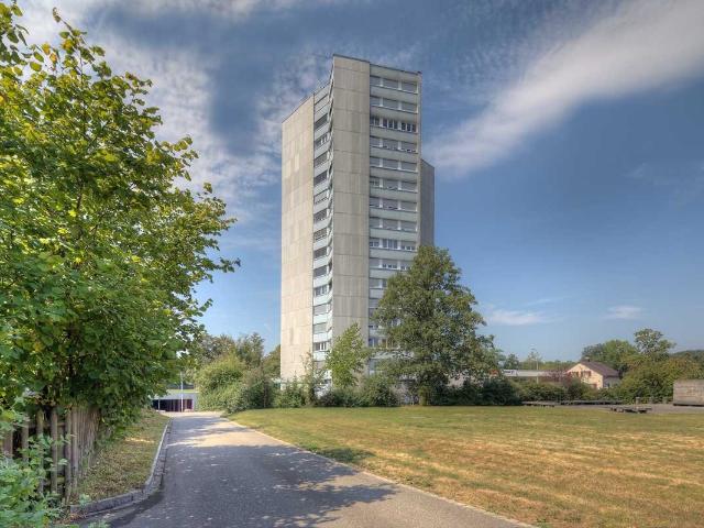 Rent a 3 rooms apartment in Brugg AG Flatfox