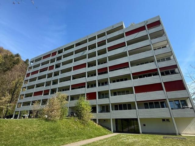 Rent a 3 ½ rooms apartment in Brugg Flatfox