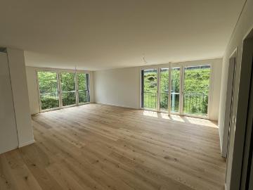 Rent a 3 ½ rooms apartment in Brugg Flatfox