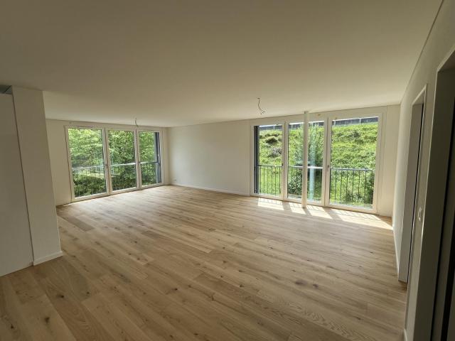 Rent a 2 ½ rooms apartment in Brugg Flatfox