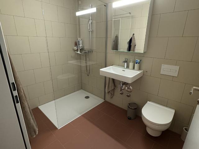 Rent a 3 ½ rooms apartment in Bramois Flatfox